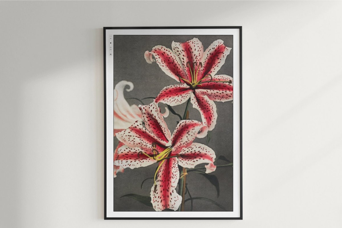 Visions＆Flowers ecomaru Amazon.com: VIYYIEA Floral Large Framed Wall Art, Flowers