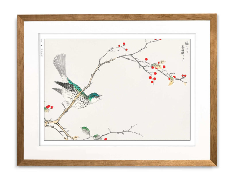 Japanese bird illustration by Numata Kashu featuring cranes in traditional style