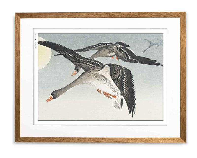 Ohara Koson Japanese artwork showing birds and nature in traditional woodblock style