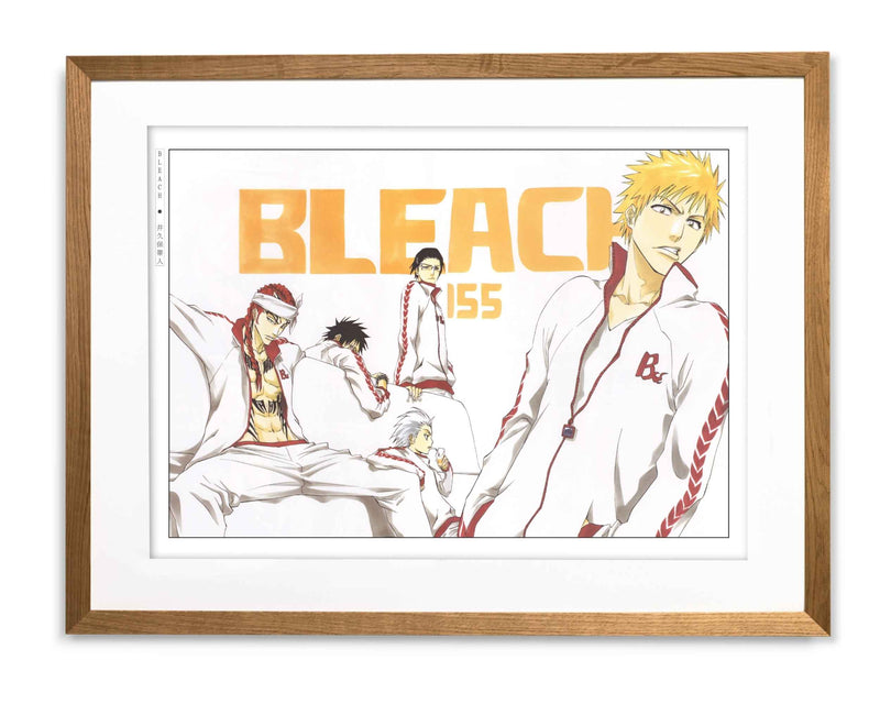 Bleach – Tite Kubo