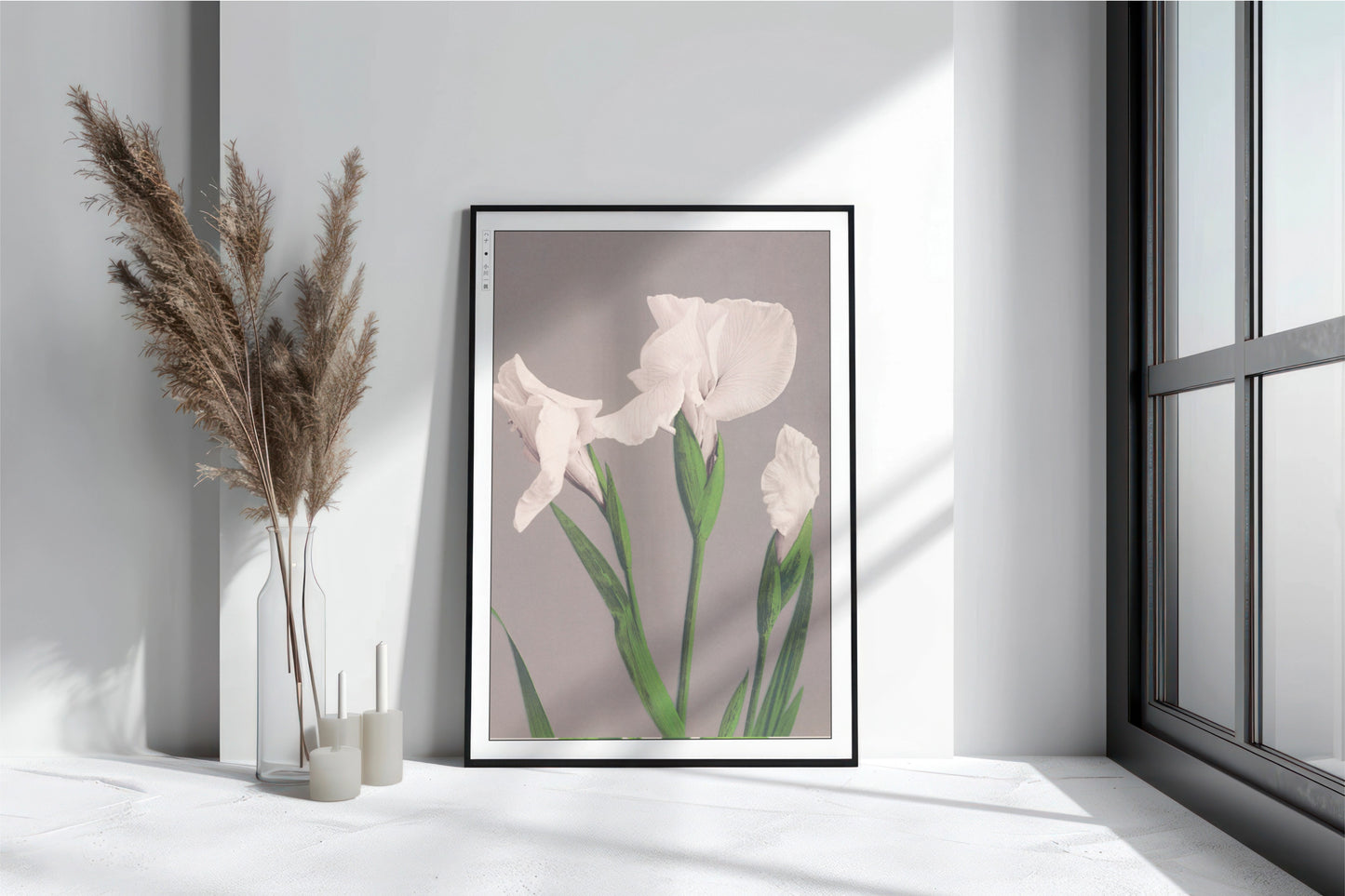 Ogawa Kazumasa - White Irises