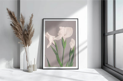 Ogawa Kazumasa - White Irises