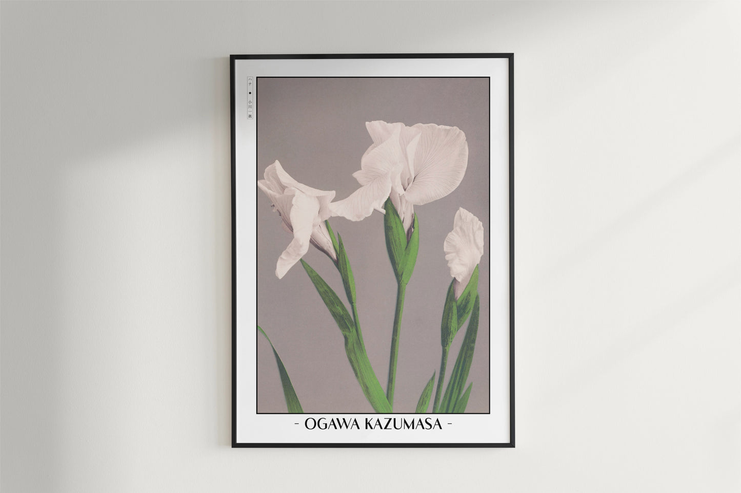 Ogawa Kazumasa - White Irises