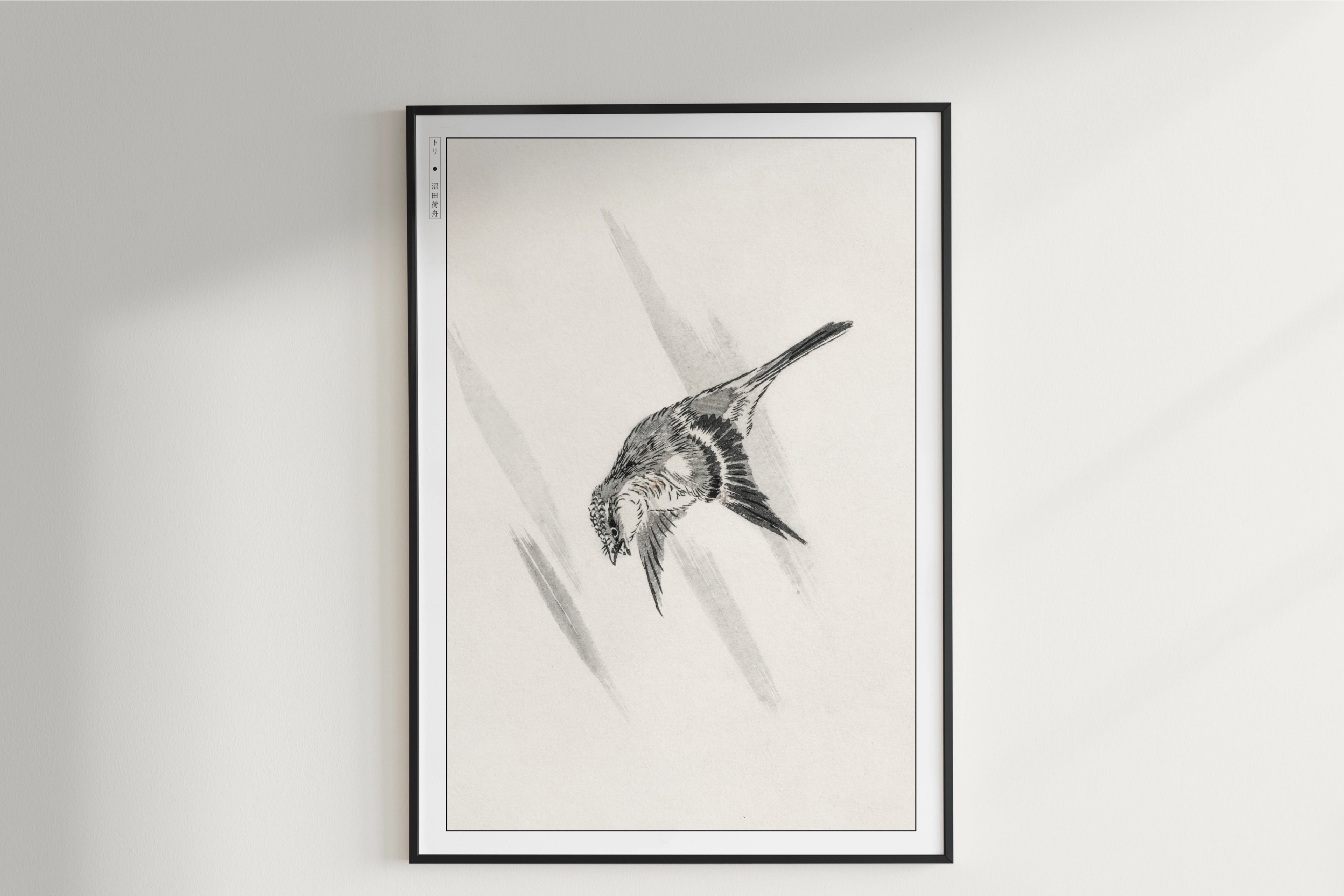 Numata Kashu - Lesser Cuckoo