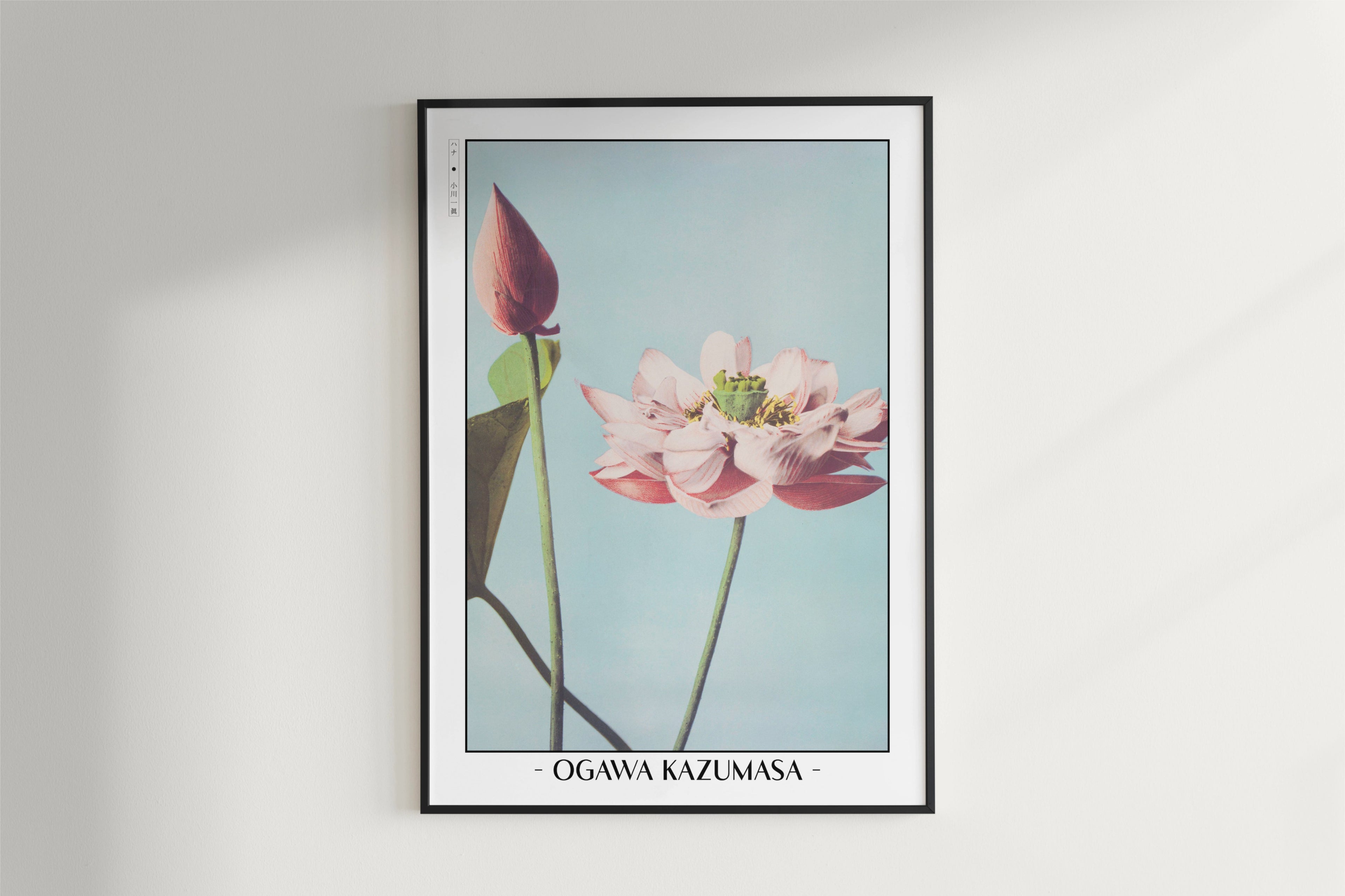 Ogawa Kazumasa - Lotus Flowers