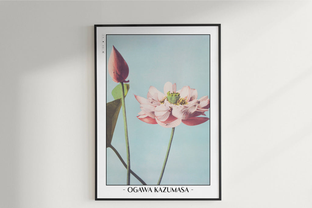 Ogawa Kazumasa - Lotus Flowers