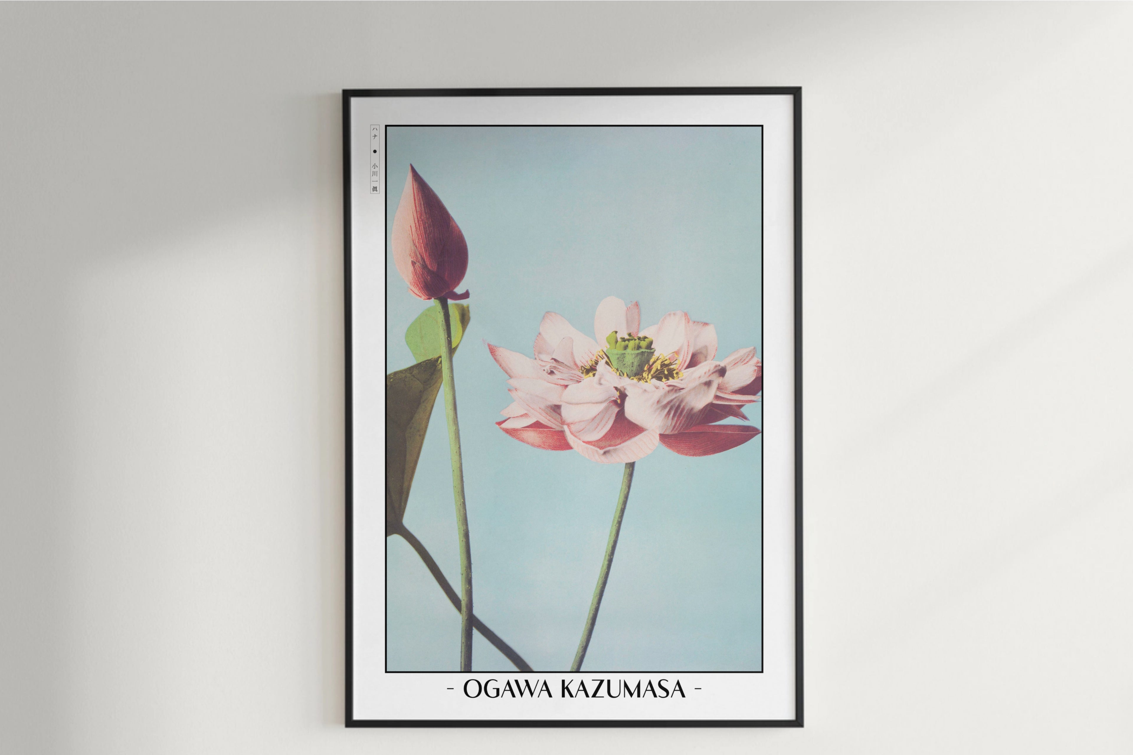 Ogawa Kazumasa - Lotus Flowers