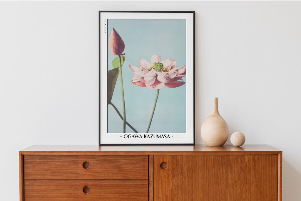 Ogawa Kazumasa - Lotus Flowers