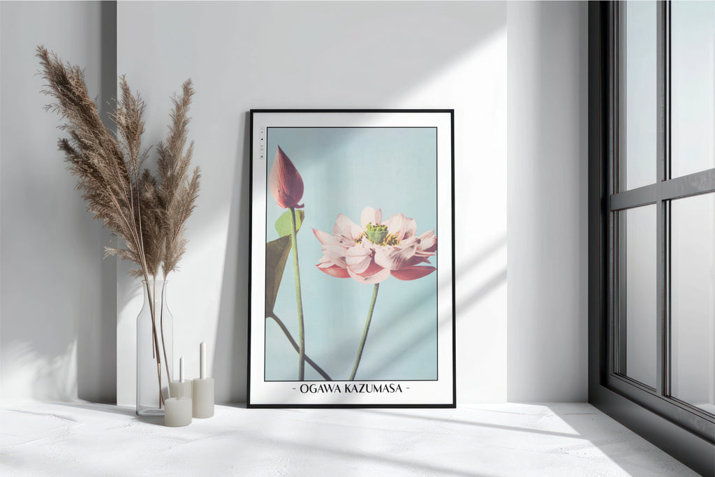 Ogawa Kazumasa - Lotus Flowers