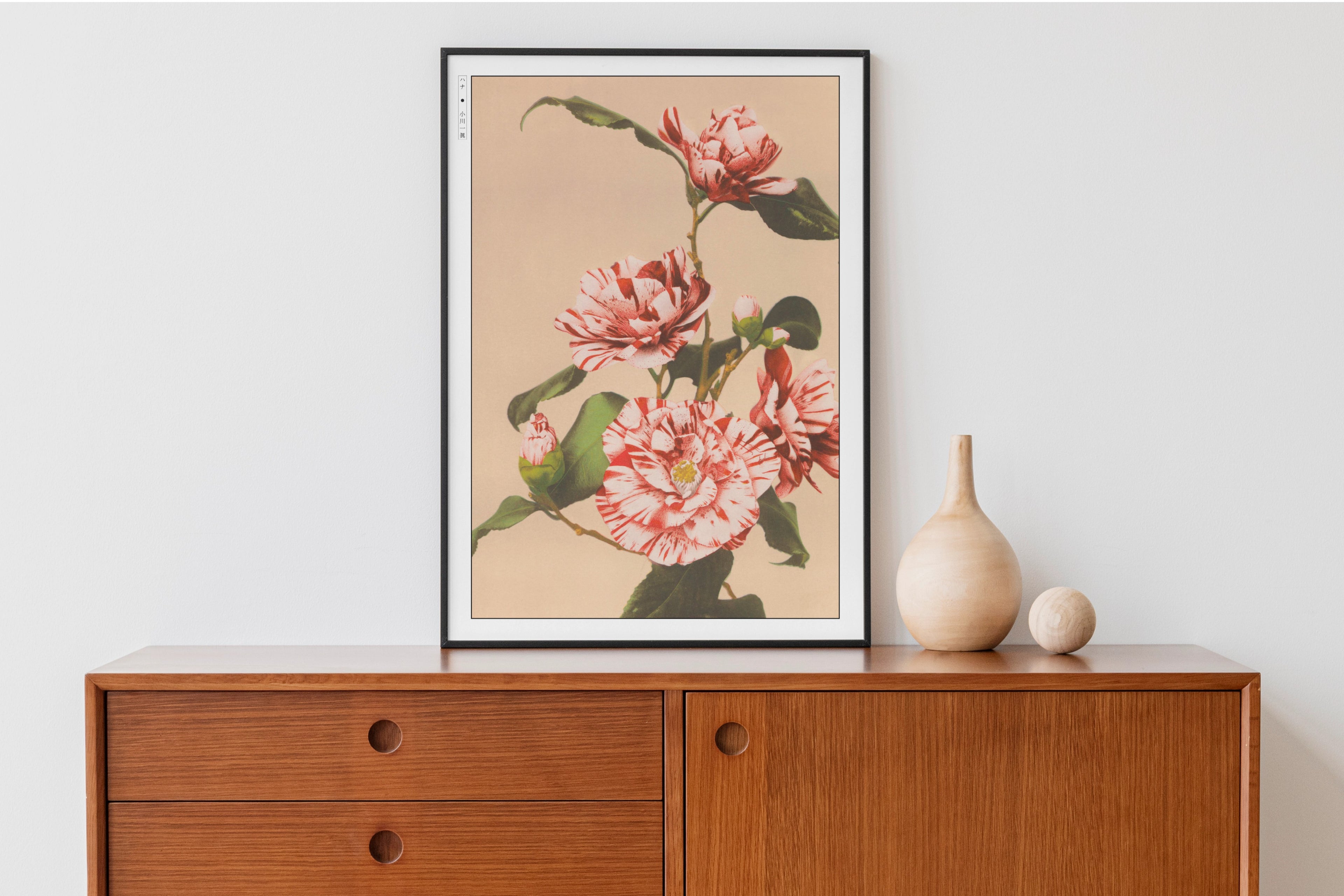 Ogawa Kazumasa - Striped Camellias