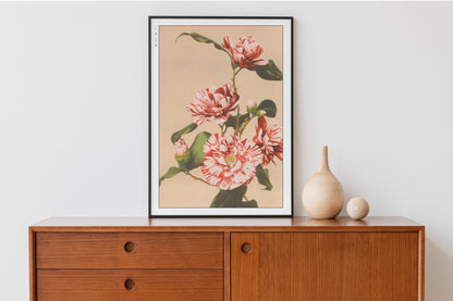 Ogawa Kazumasa - Striped Camellias