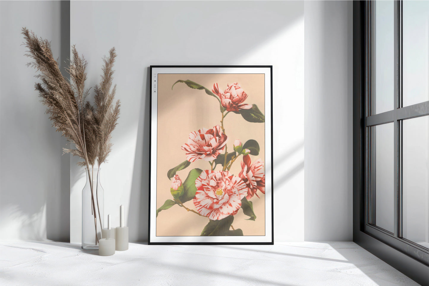 Ogawa Kazumasa - Striped Camellias