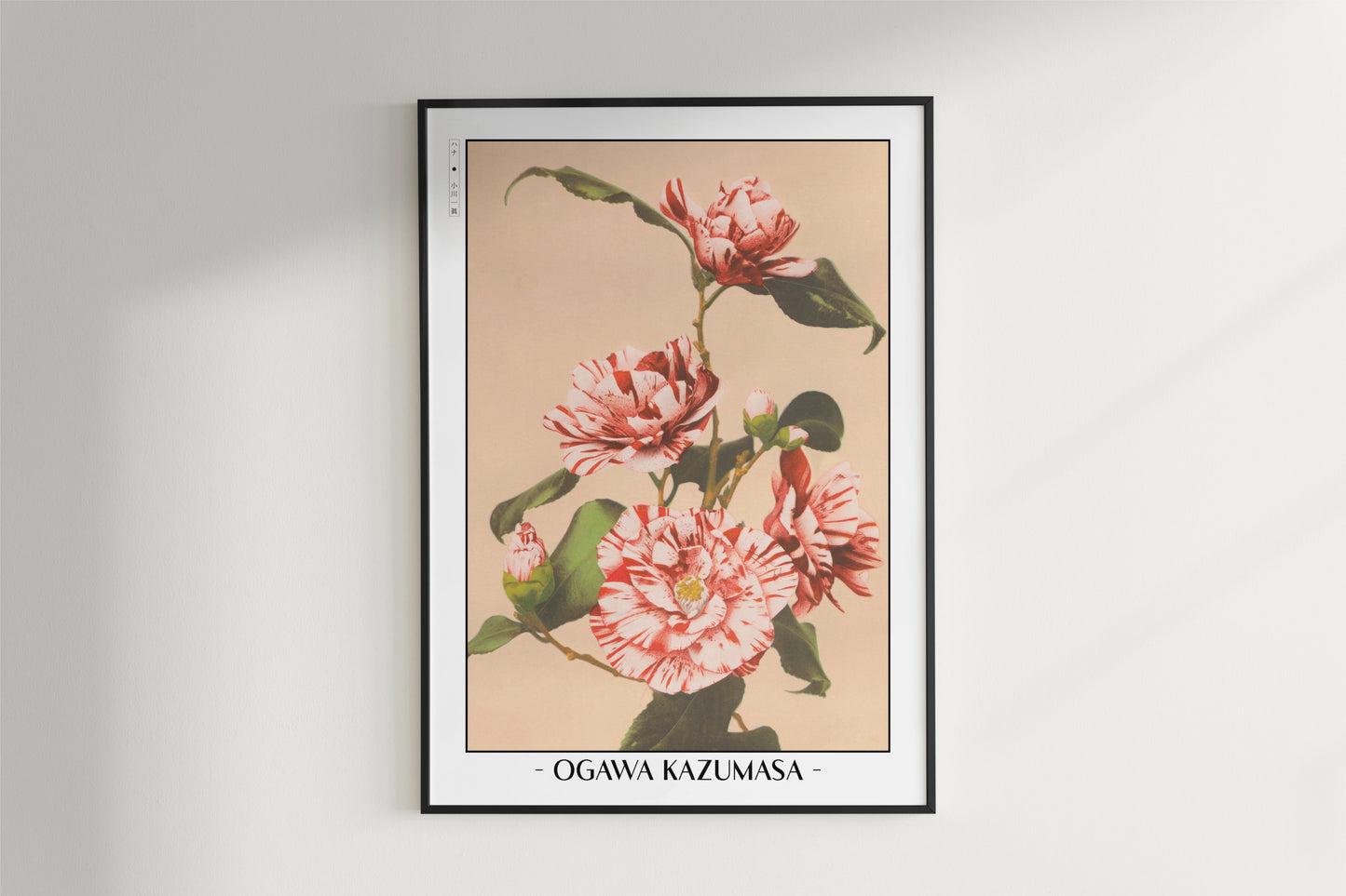 Ogawa Kazumasa - Striped Camellias
