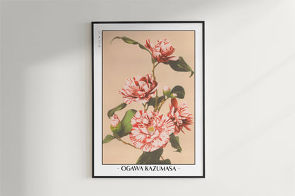 Ogawa Kazumasa - Striped Camellias