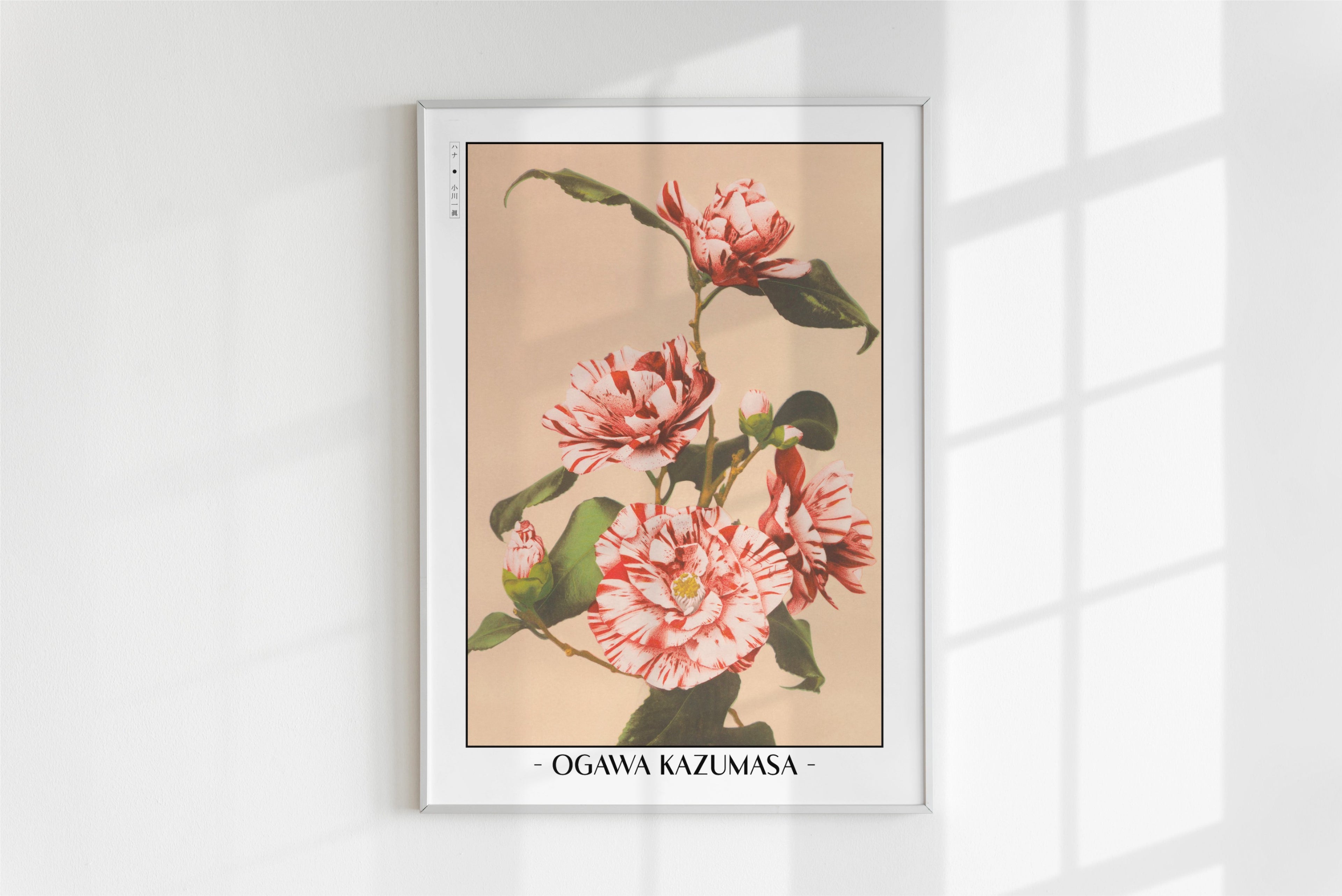 Ogawa Kazumasa - Striped Camellias