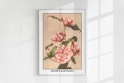 Ogawa Kazumasa - Striped Camellias