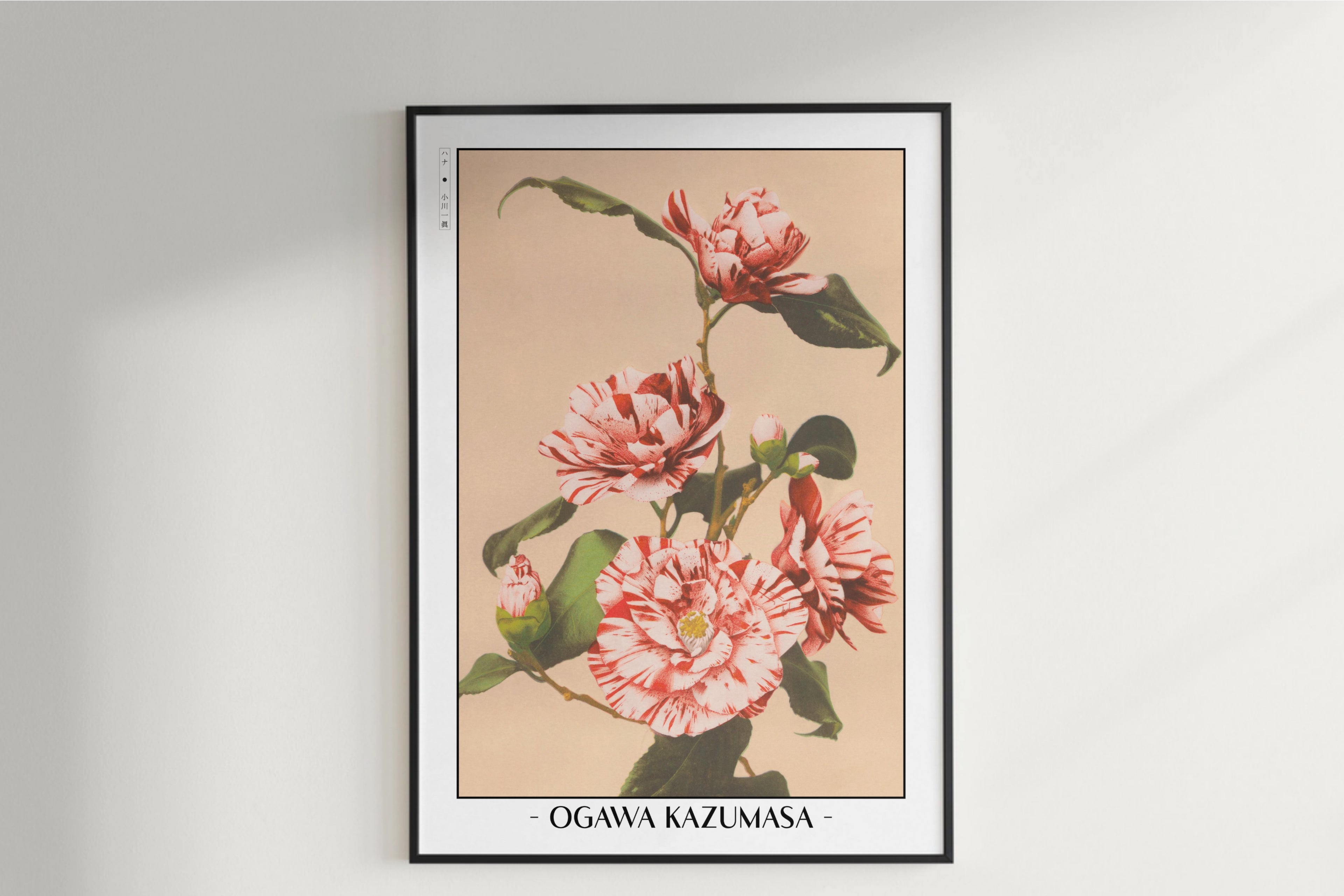 Ogawa Kazumasa - Striped Camellias