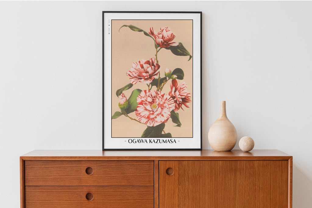 Ogawa Kazumasa - Striped Camellias