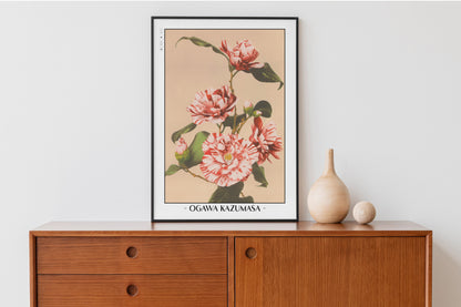 Ogawa Kazumasa - Striped Camellias