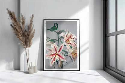 Ogawa Kazumasa - Lily