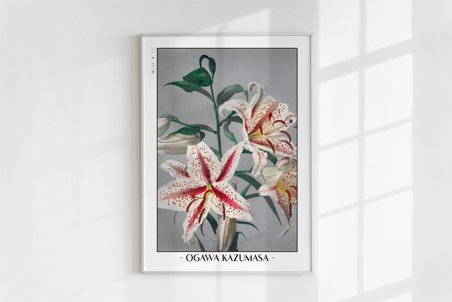 Ogawa Kazumasa - Lily