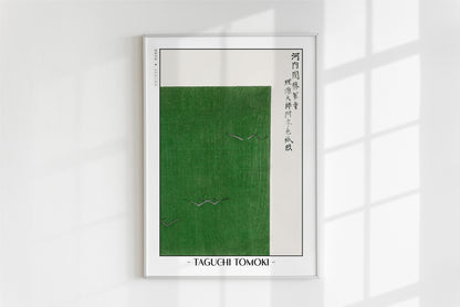 Taguchi Tomoki - Green Birds
