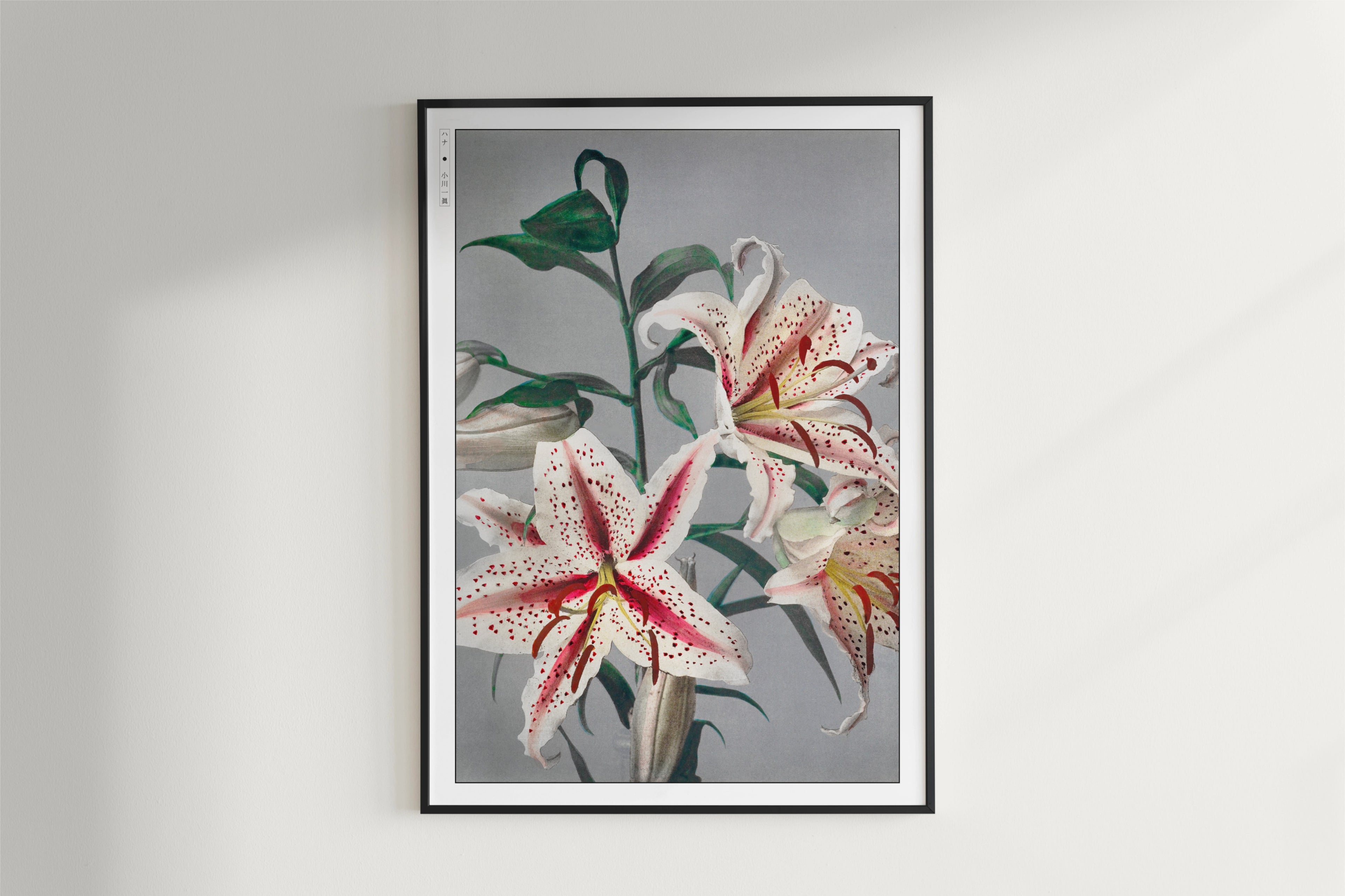 Ogawa Kazumasa - Lily