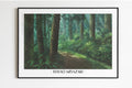 Studio Ghibli - The Forest Sleeps