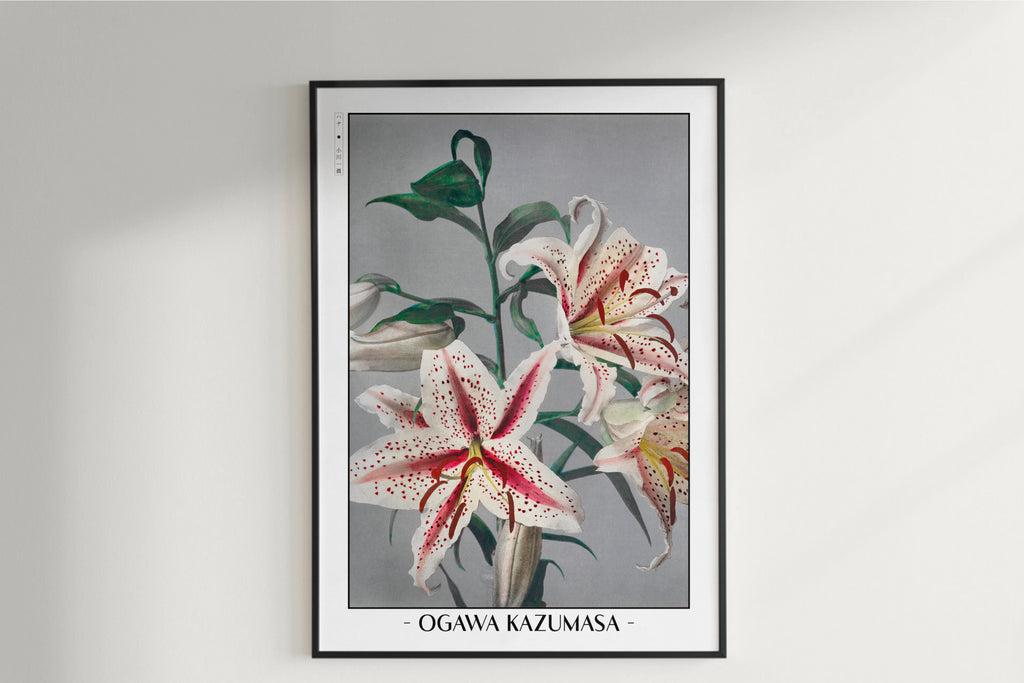 Ogawa Kazumasa - Lily