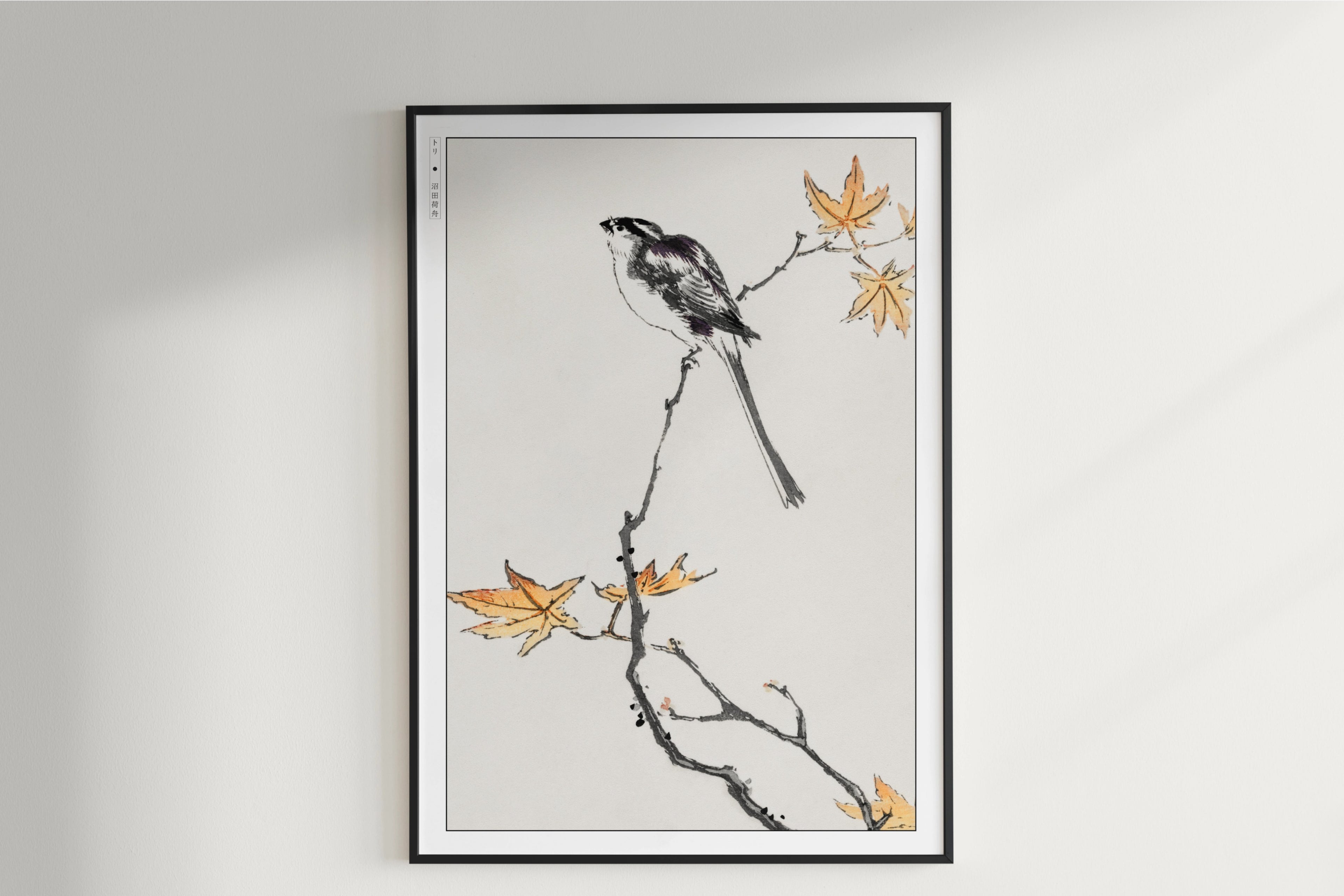 Numata Kashu - Longtailed Tit & Maple Tree