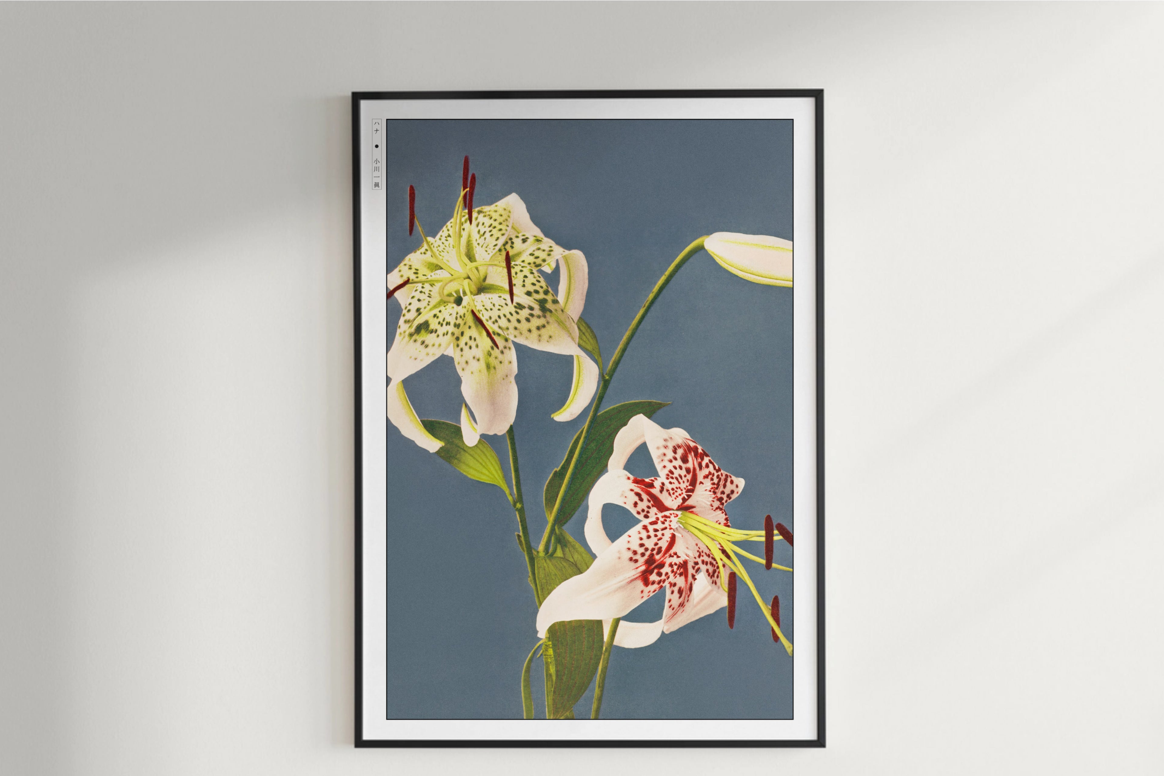 Ogawa Kazumasa - Lilies