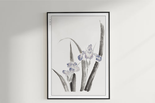 Hokusai - Japanese Irises