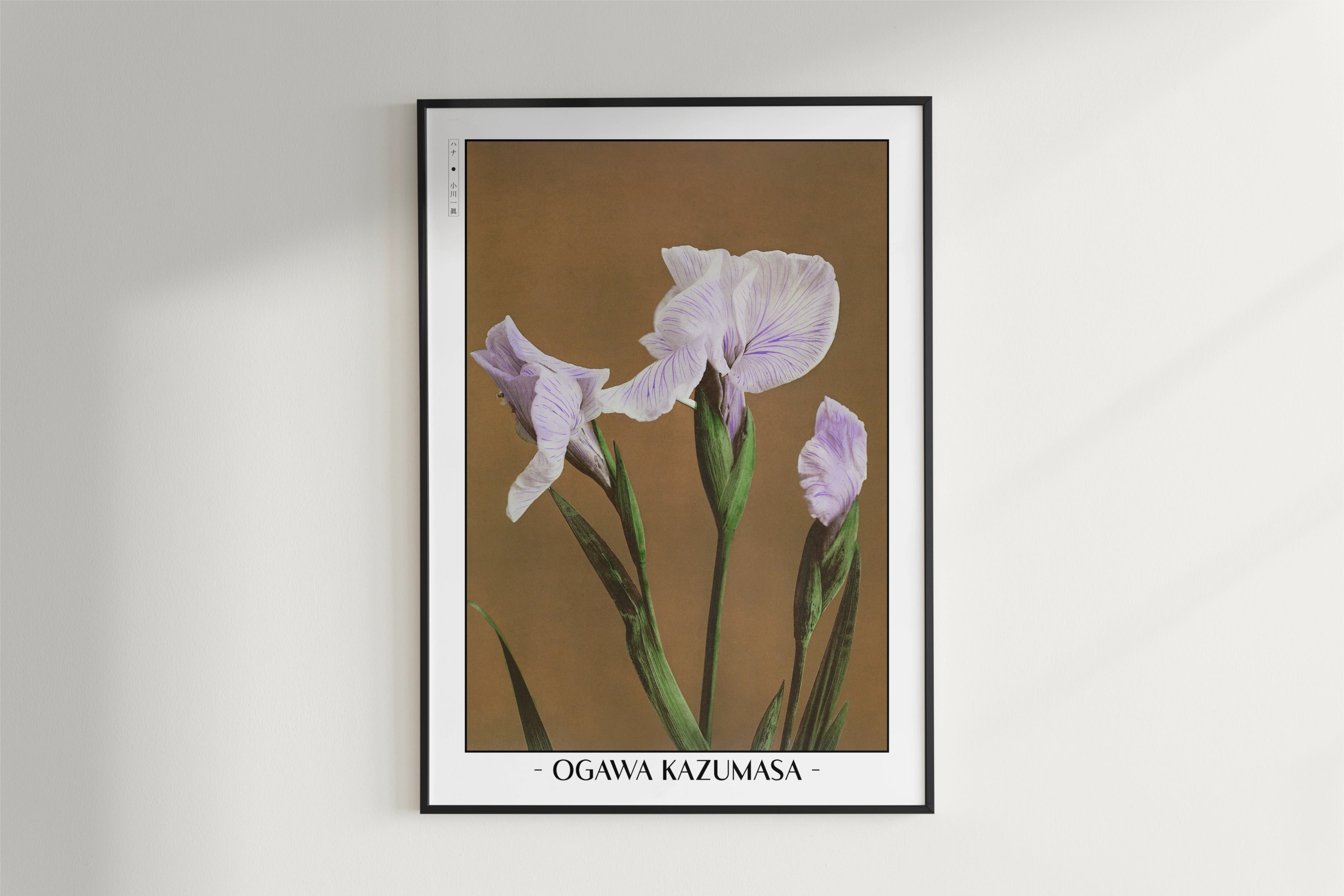 Ogawa Kazumasa - Iris Kaempferi