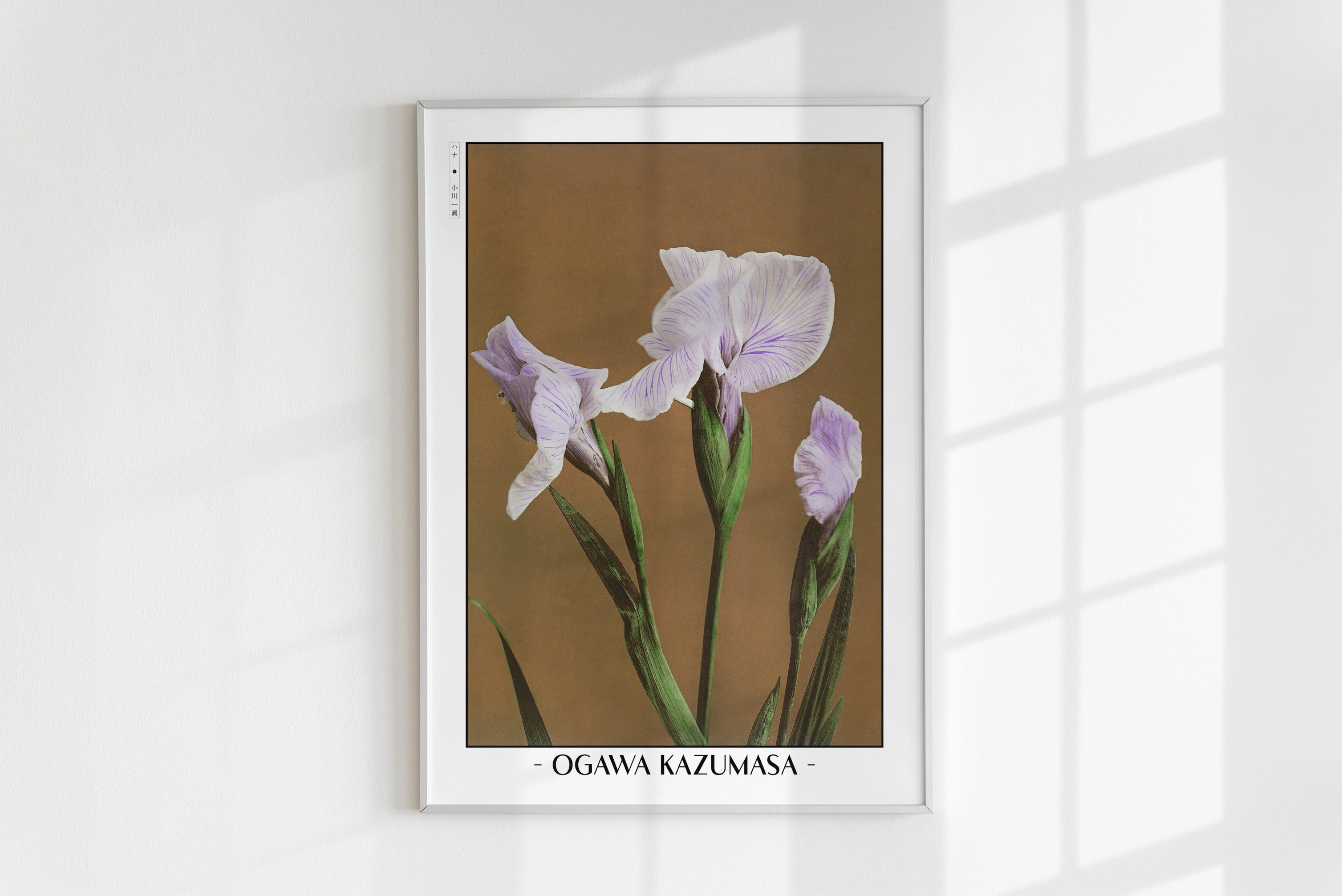 Ogawa Kazumasa - Iris Kaempferi