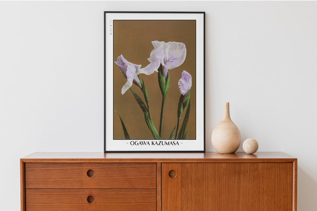 Ogawa Kazumasa - Iris Kaempferi