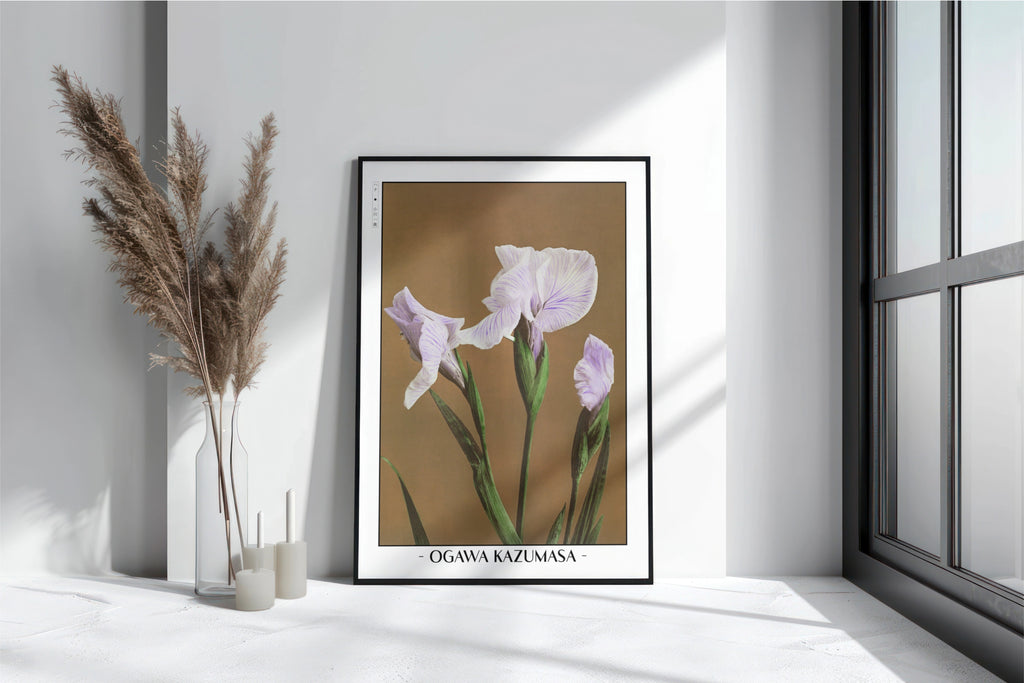 Ogawa Kazumasa - Iris Kaempferi