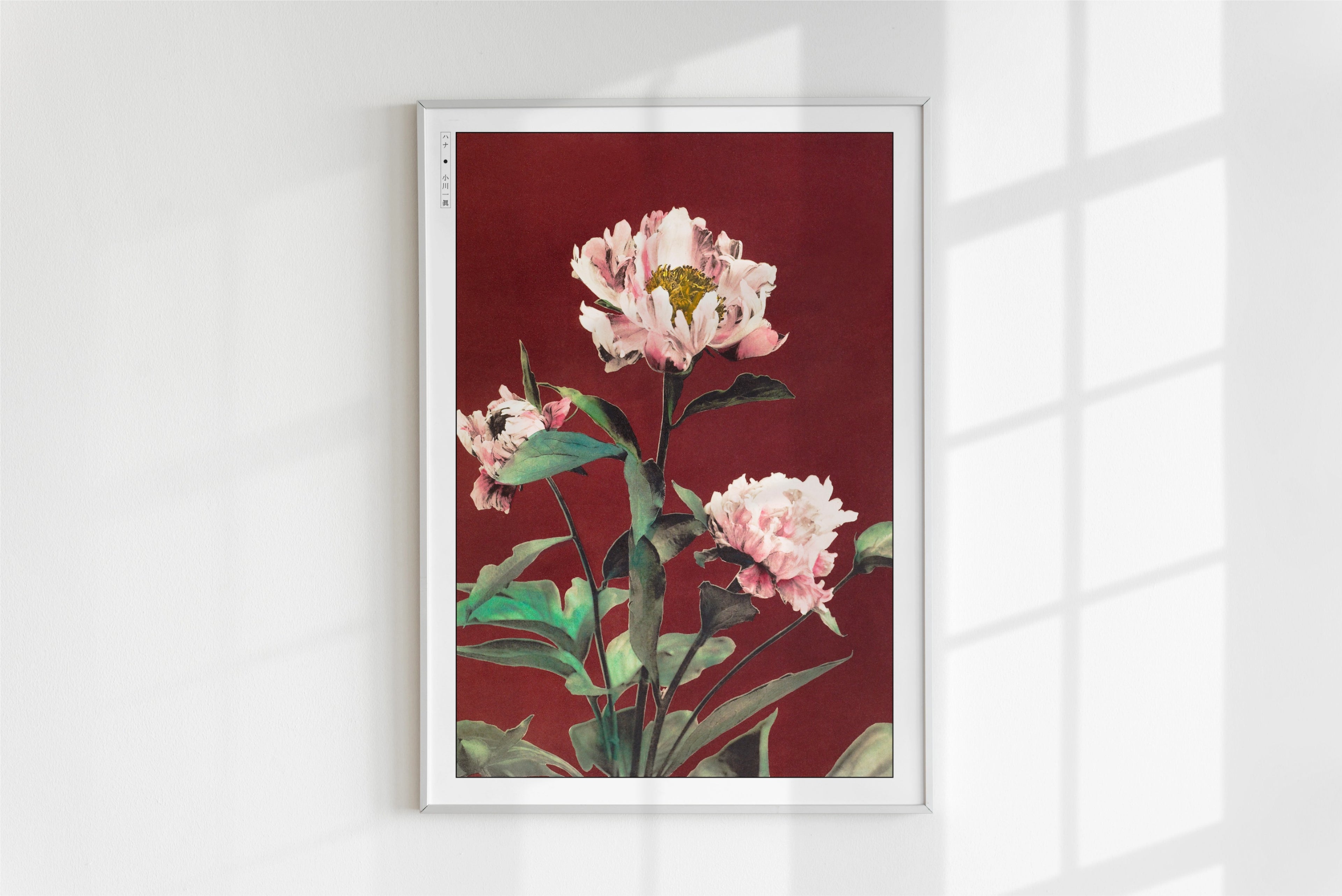 Ogawa Kazumasa - Pink Peonies