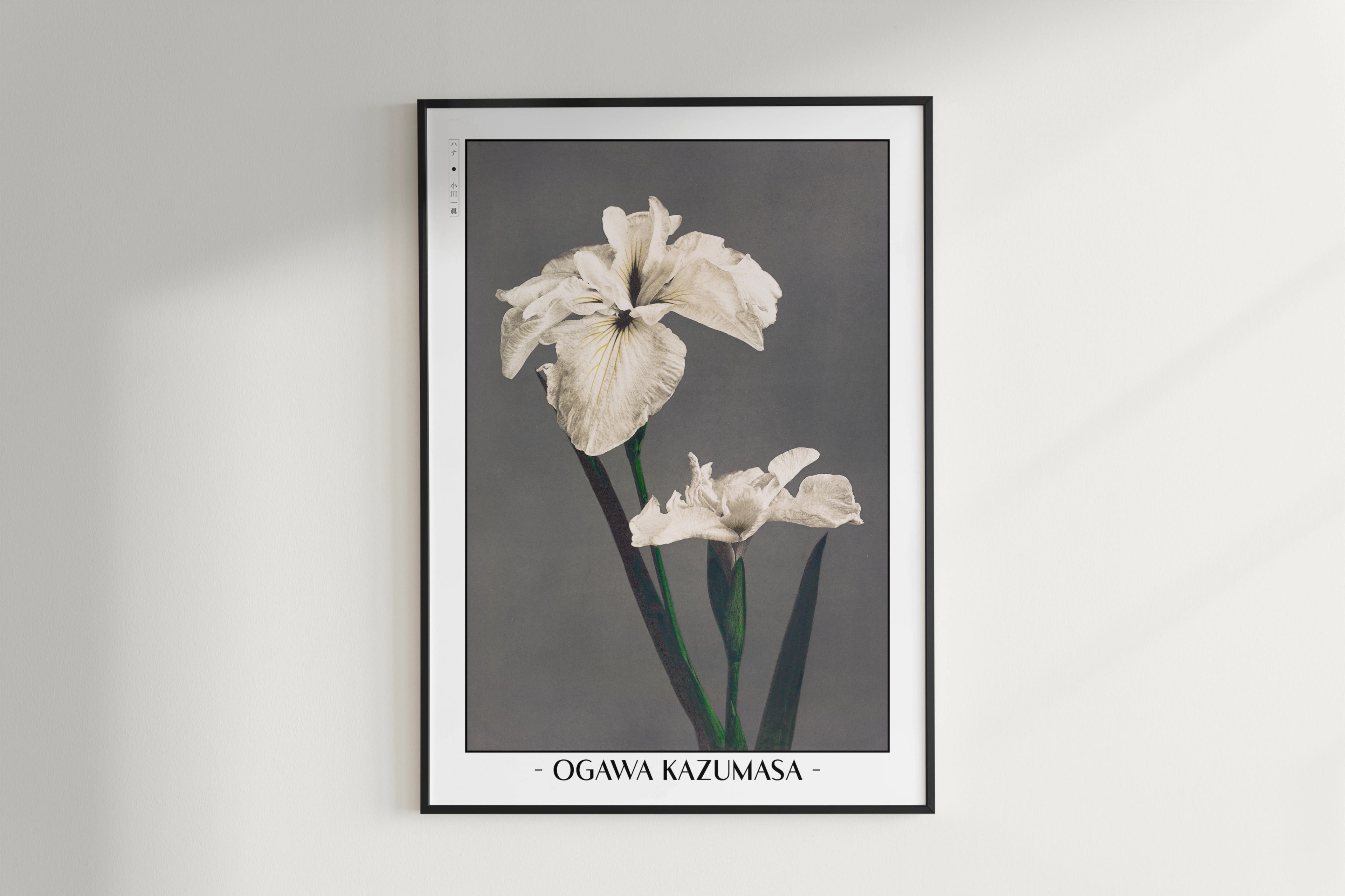Ogawa Kazumasa - Japanese Irises
