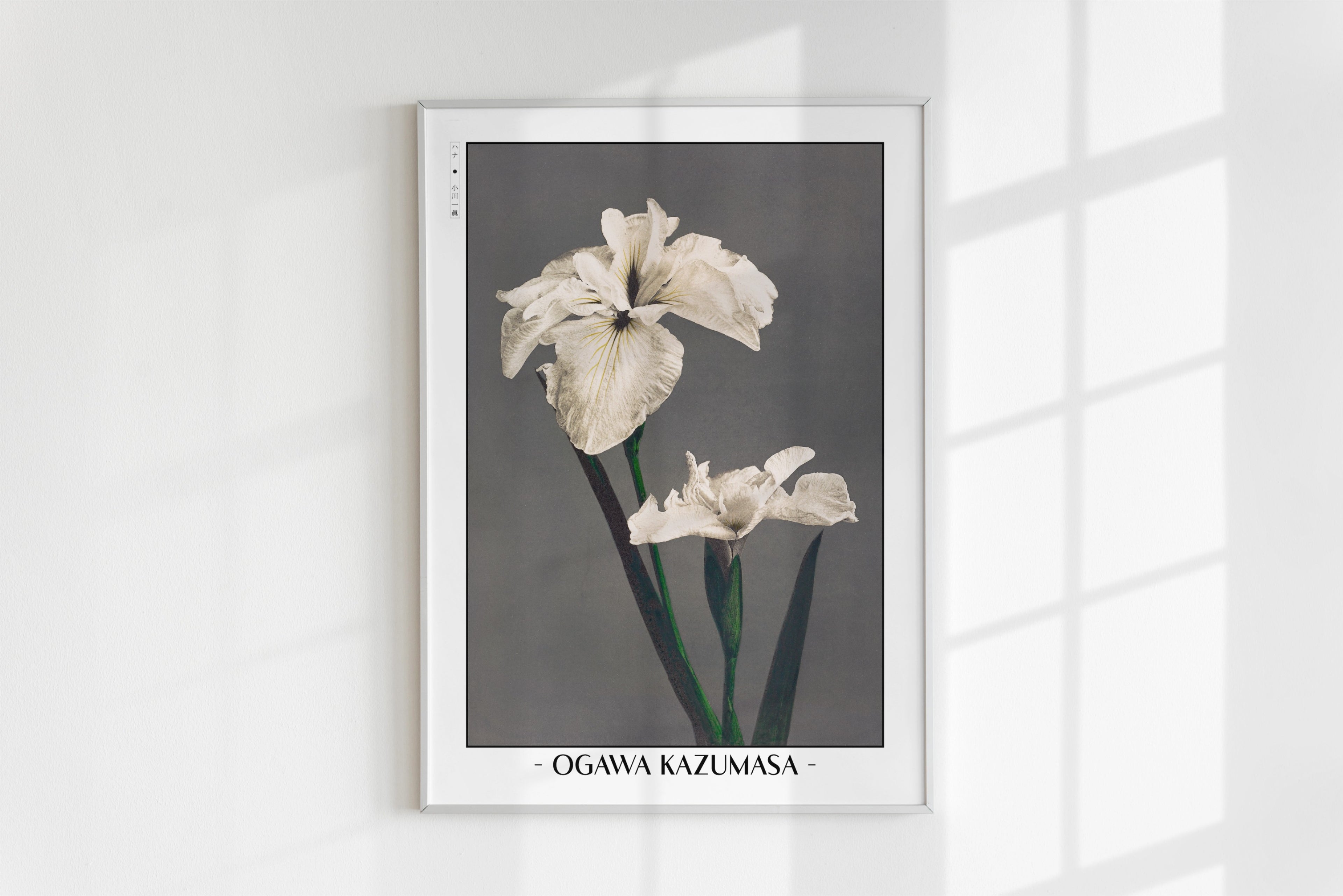 Ogawa Kazumasa - Japanese Irises