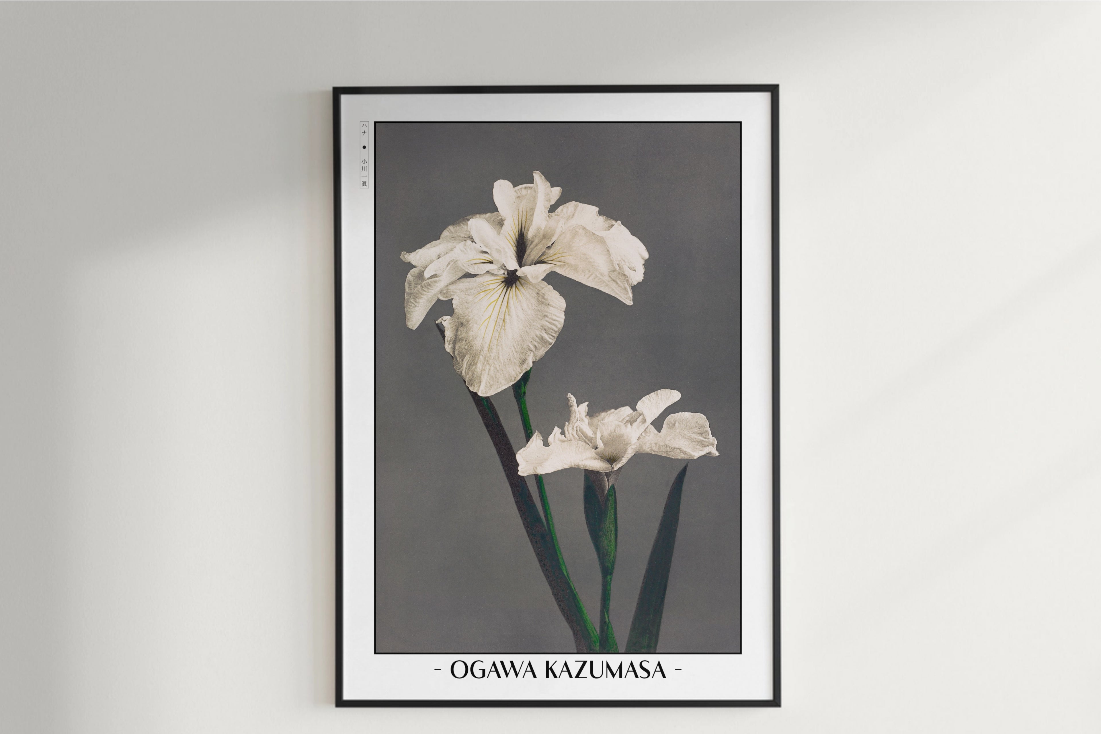 Ogawa Kazumasa - Japanese Irises