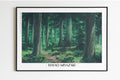 Studio Ghibli - Through the Forest