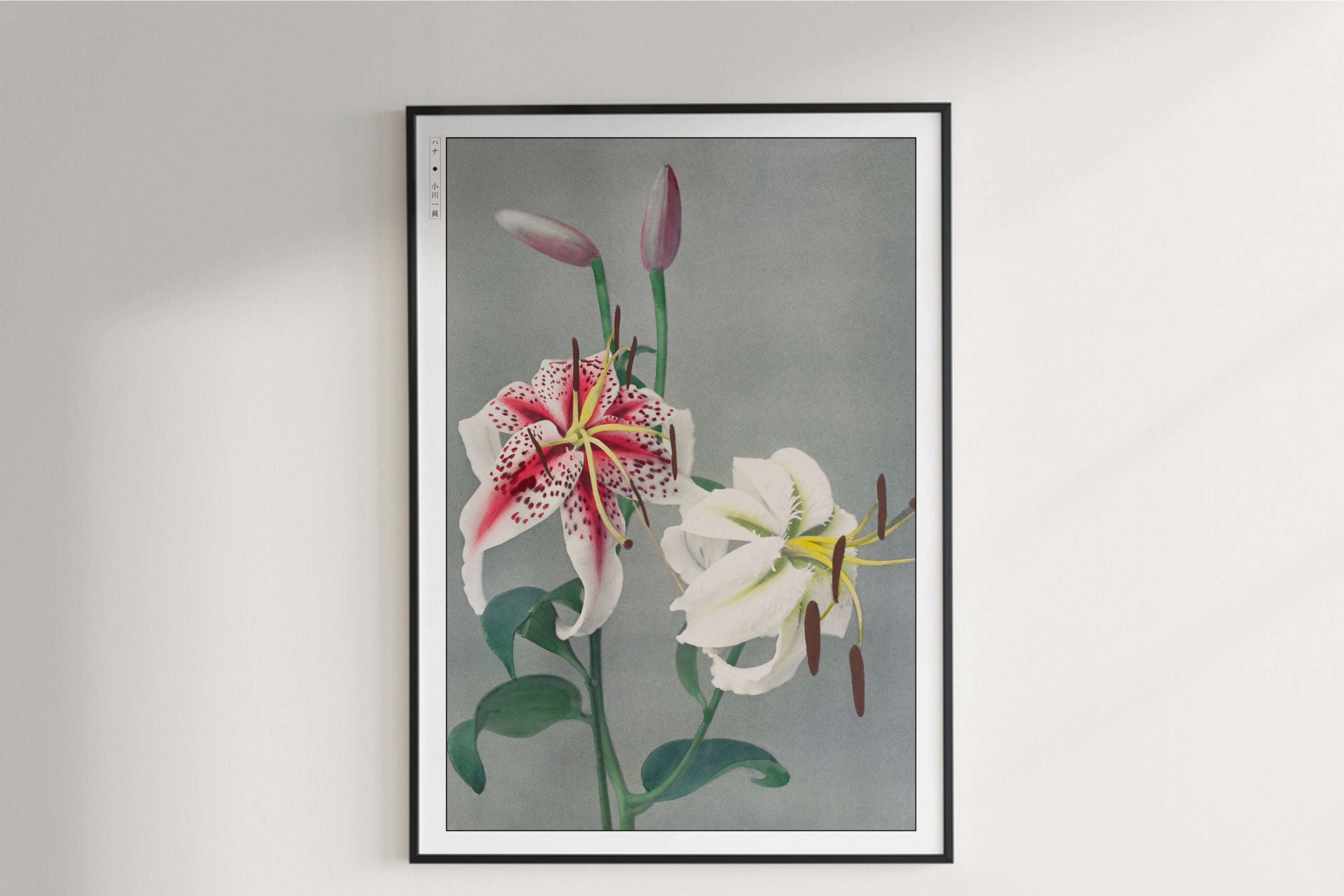 Ogawa Kazumasa - Japanese Lilies