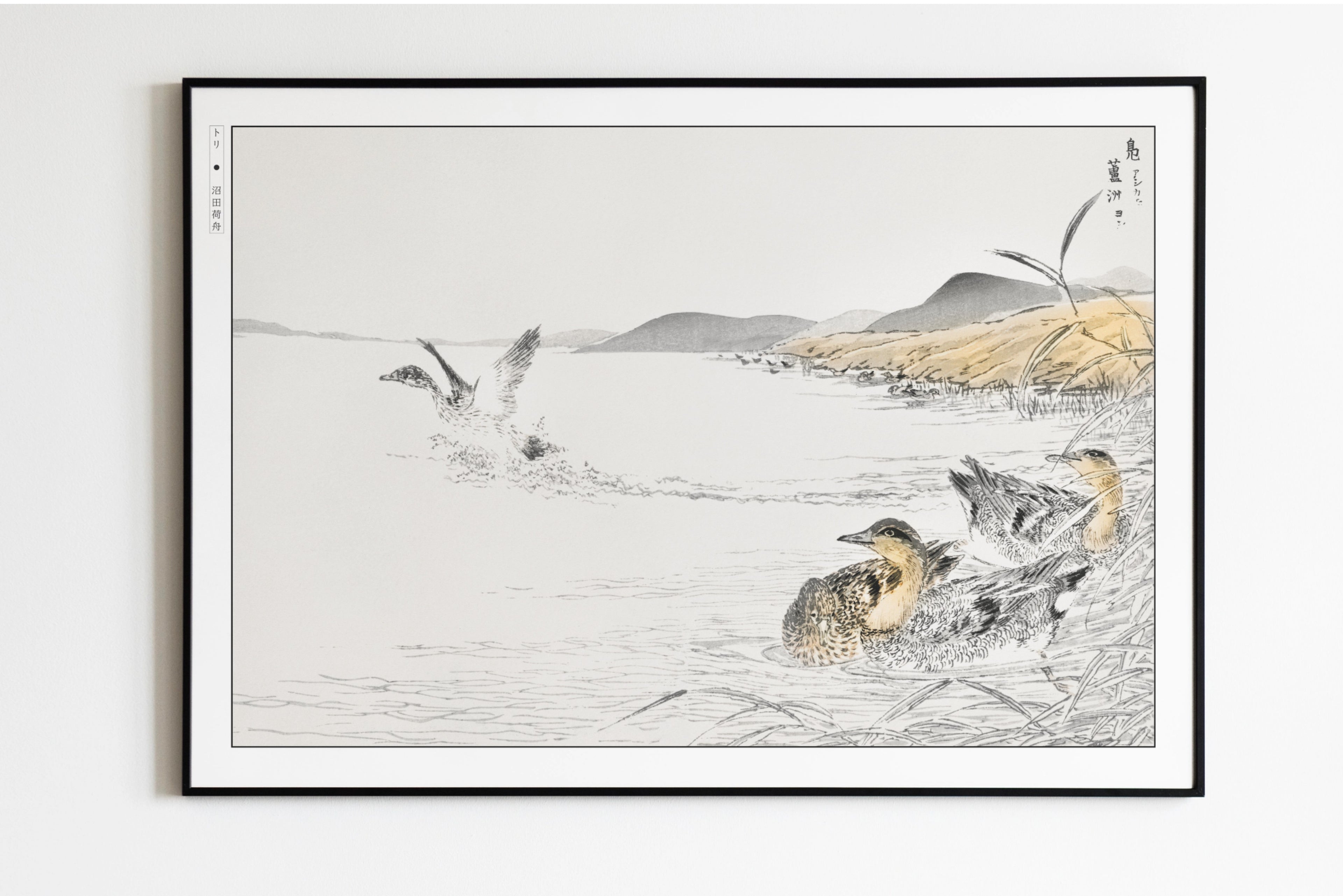 Numata Kashu - Ducks in Lake