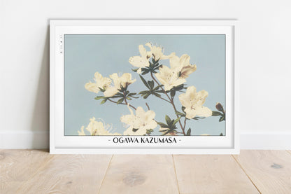 Ogawa Kazumasa - Japanese Azaleas