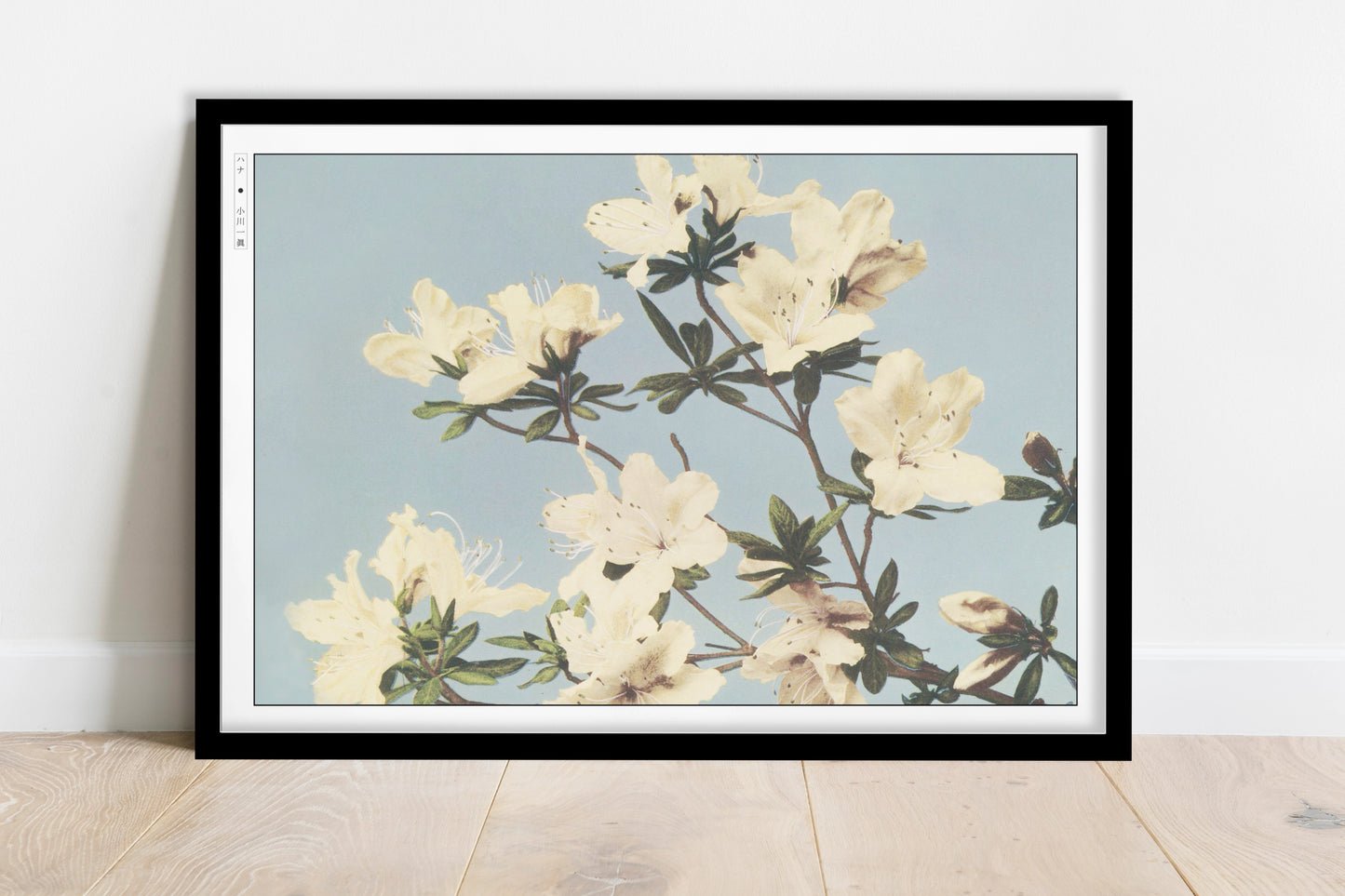 Ogawa Kazumasa - Japanese Azaleas