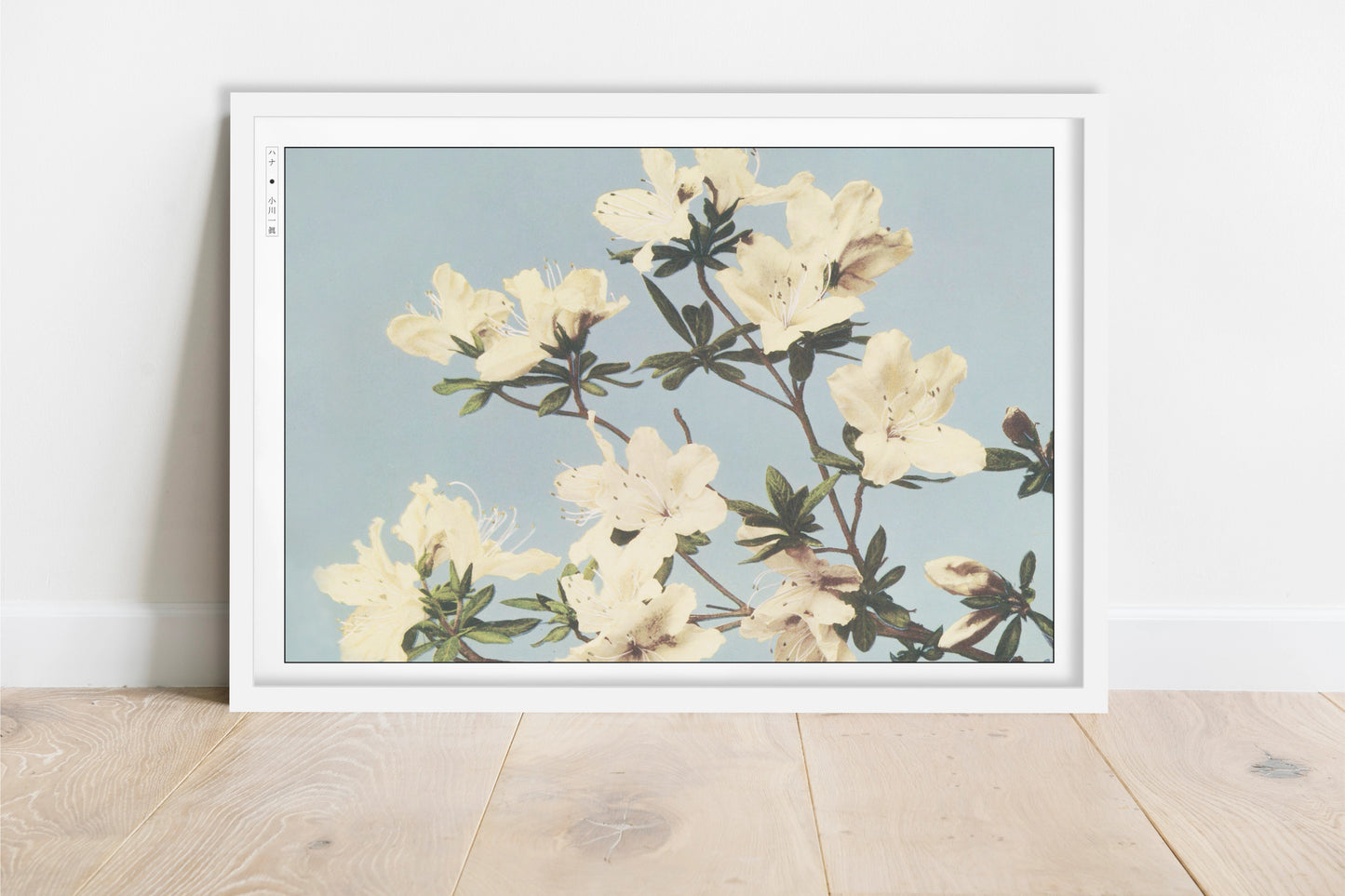 Ogawa Kazumasa - Japanese Azaleas