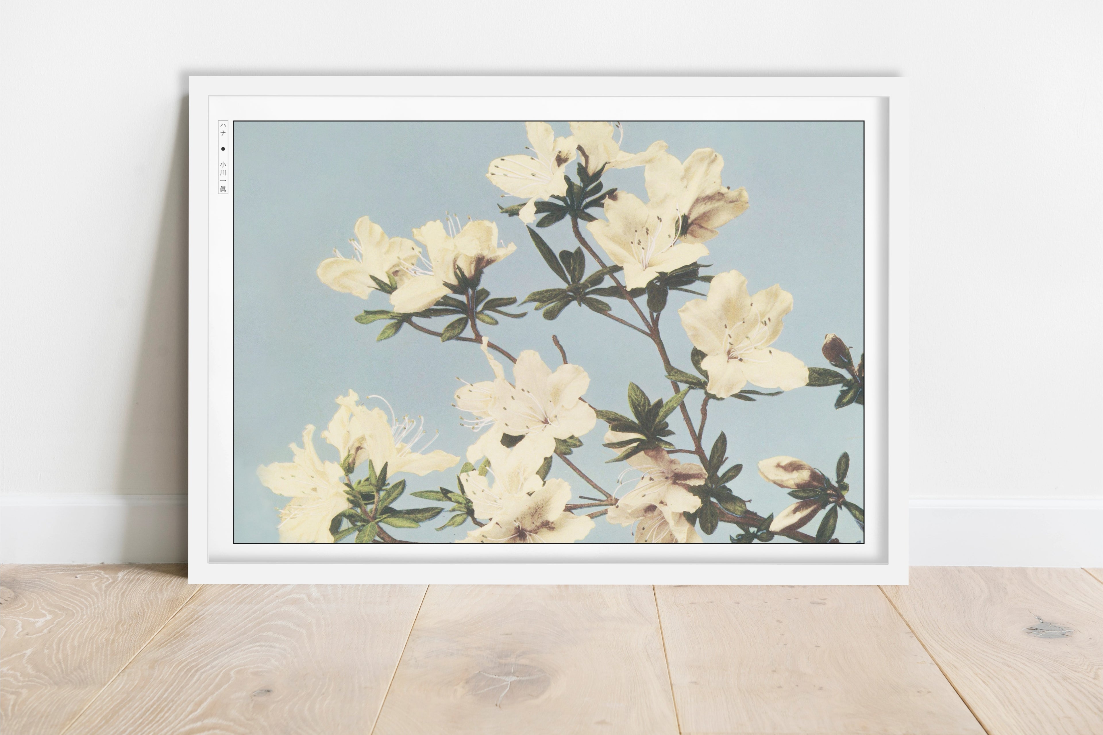 Ogawa Kazumasa - Japanese Azaleas