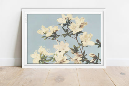 Ogawa Kazumasa - Japanese Azaleas