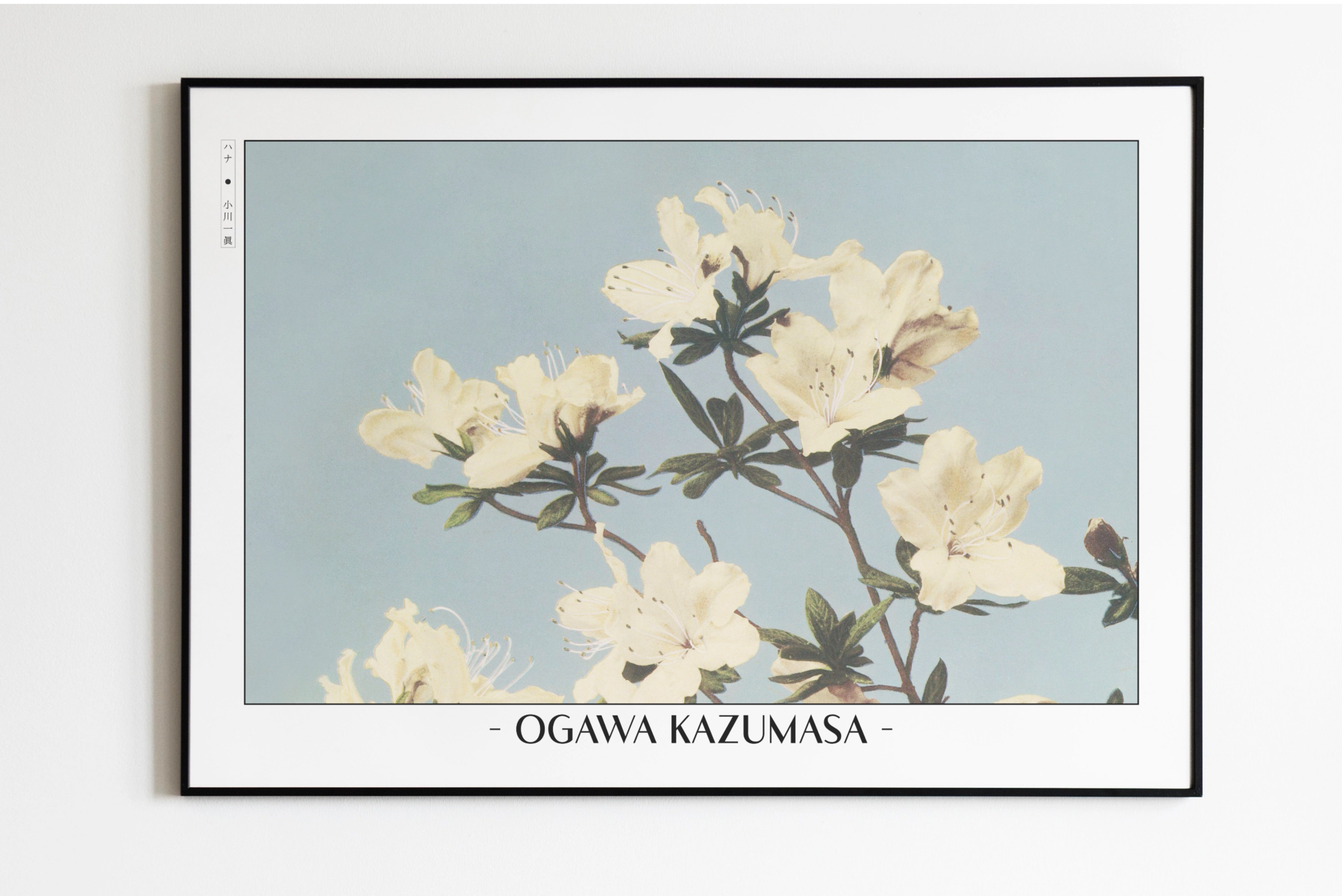 Ogawa Kazumasa Art Prints | Japanese Flower Woodblock Prints