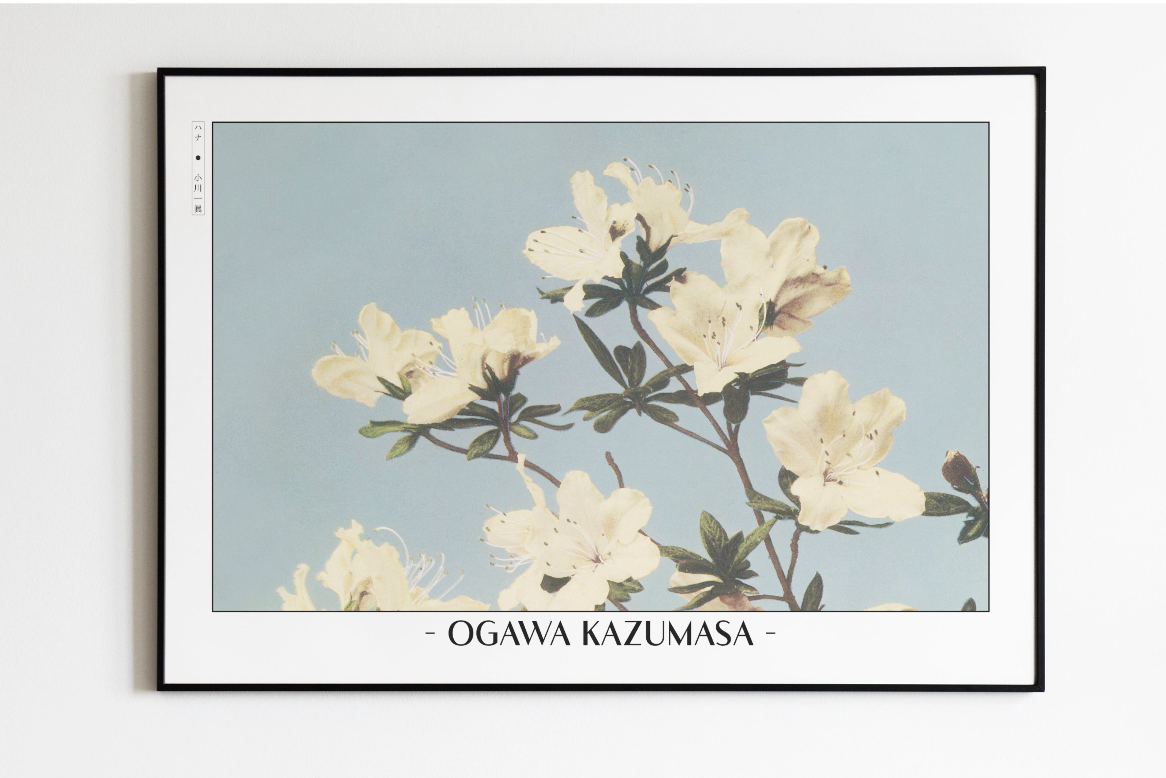 Ogawa Kazumasa - Japanese Azaleas